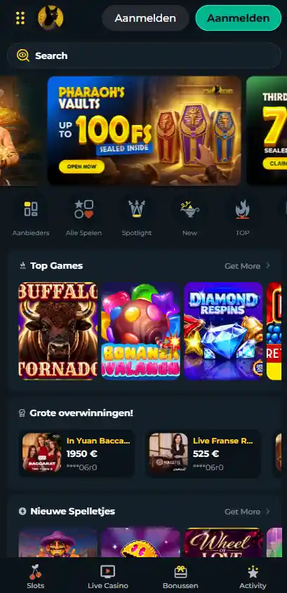 Actuele weergave van Tomb Riches in een mobiele webbrowser